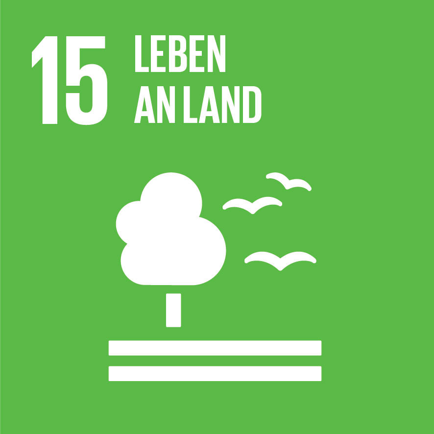 SDG-icon-DE-15